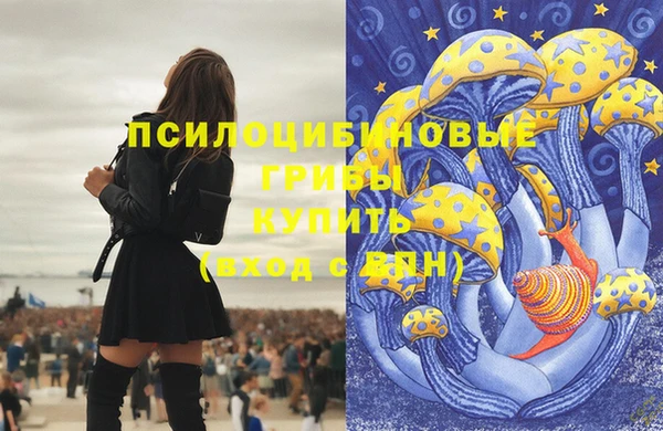 гашик Абинск