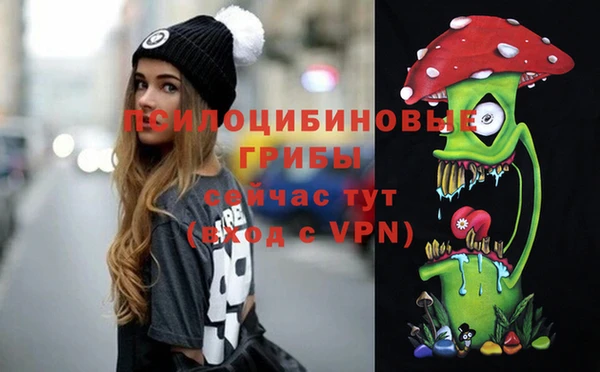 гашик Абинск