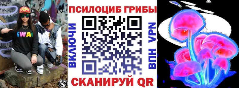 Галлюциногенные грибы Psilocybe  наркота  Великий Новгород 